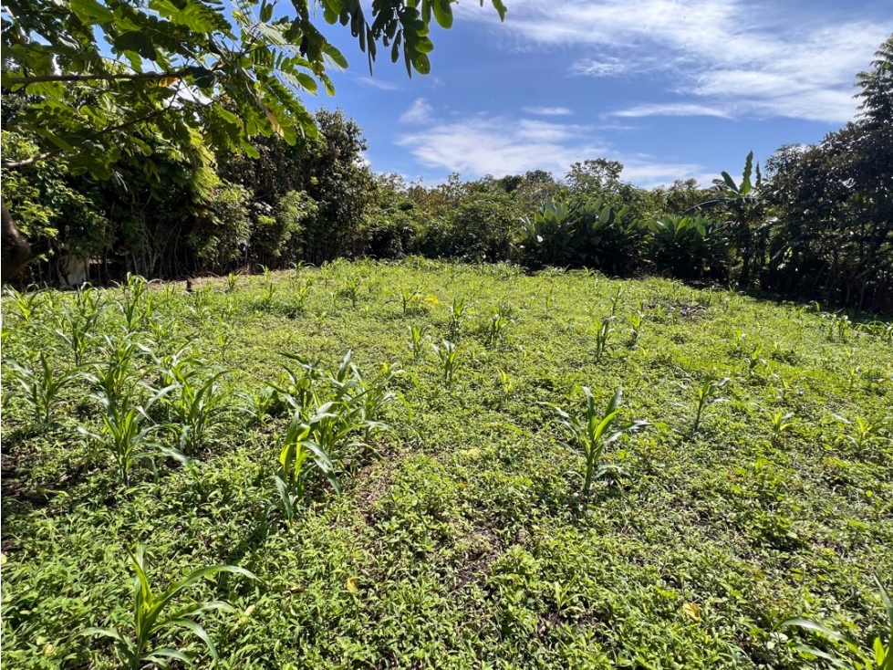Terreno económico a la venta - 5