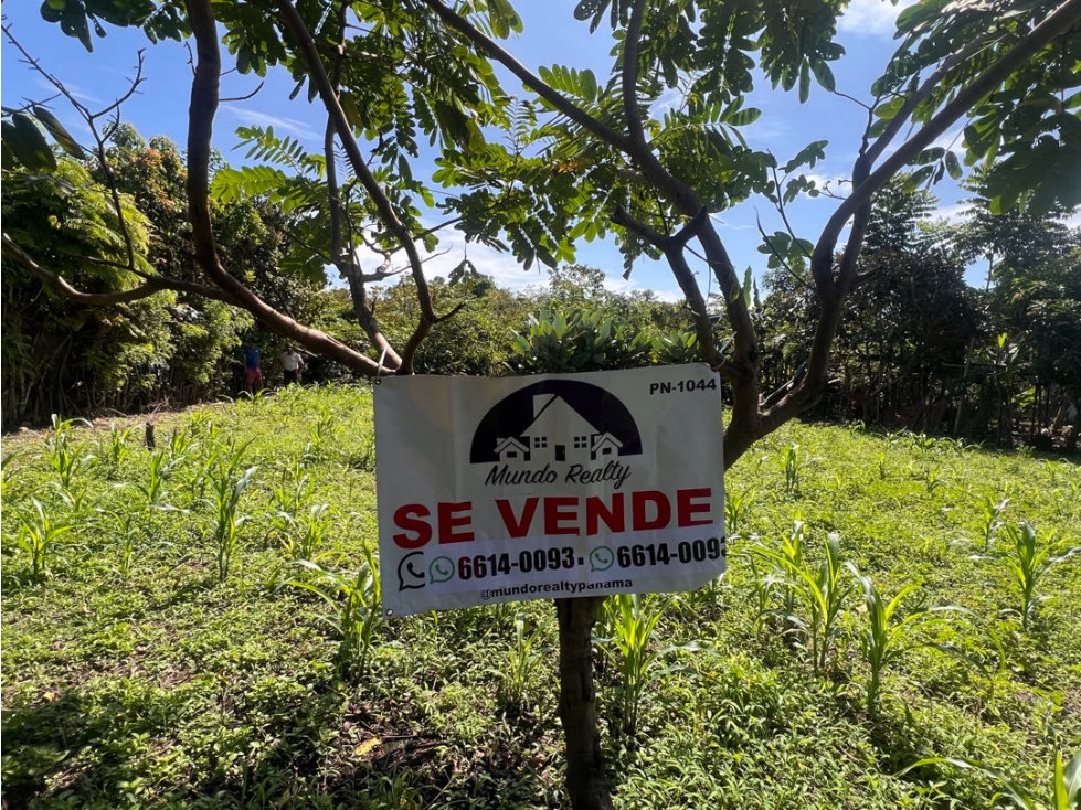 Terreno económico a la venta - 6