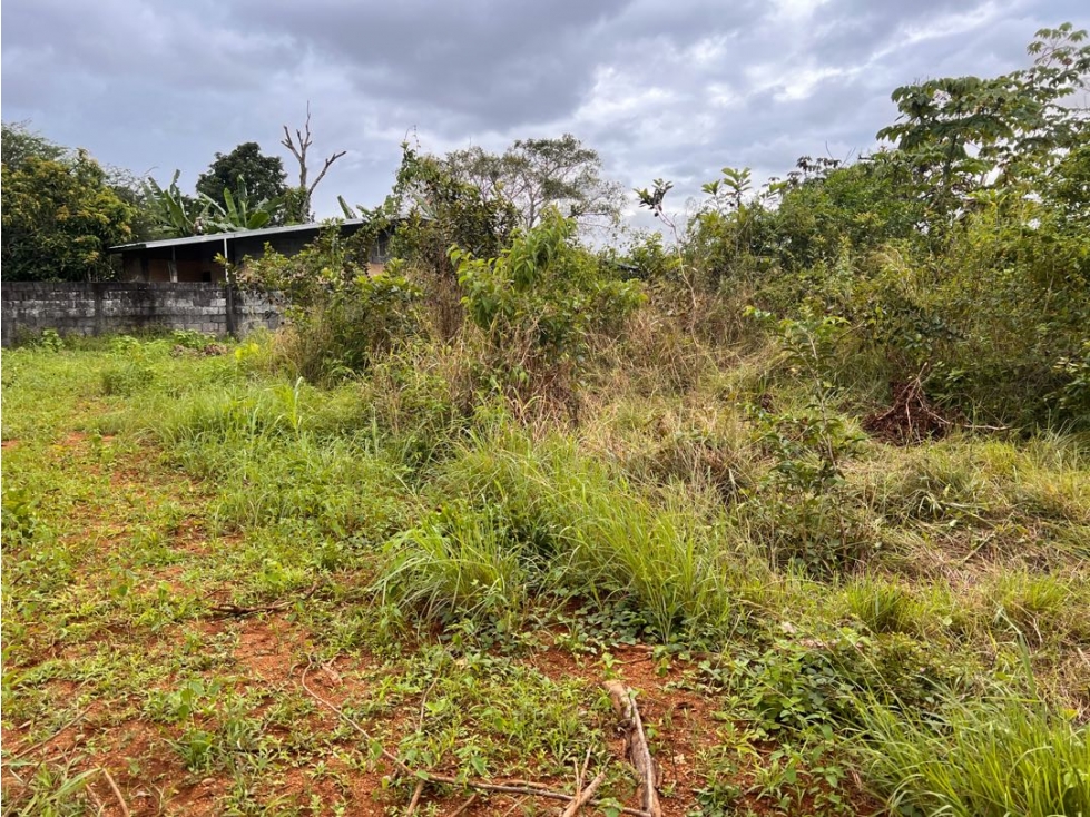 Terreno económico a la venta - 3