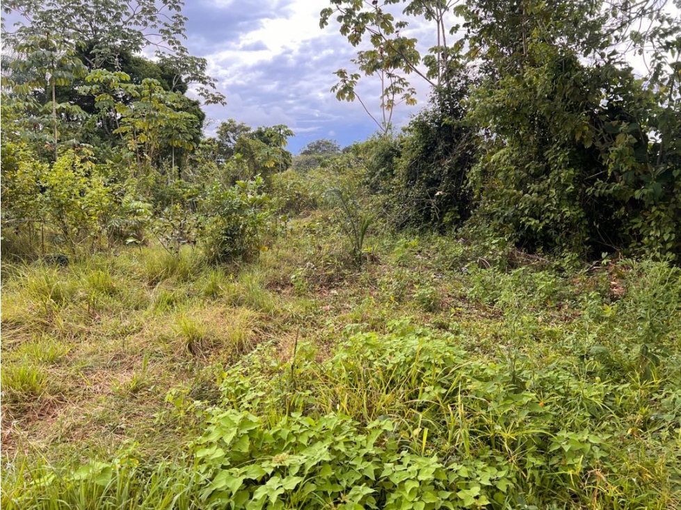 Terreno económico a la venta - 4