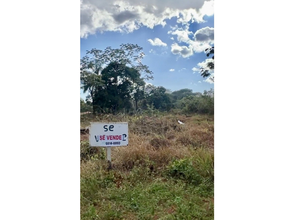 Terreno económico a la venta - 2