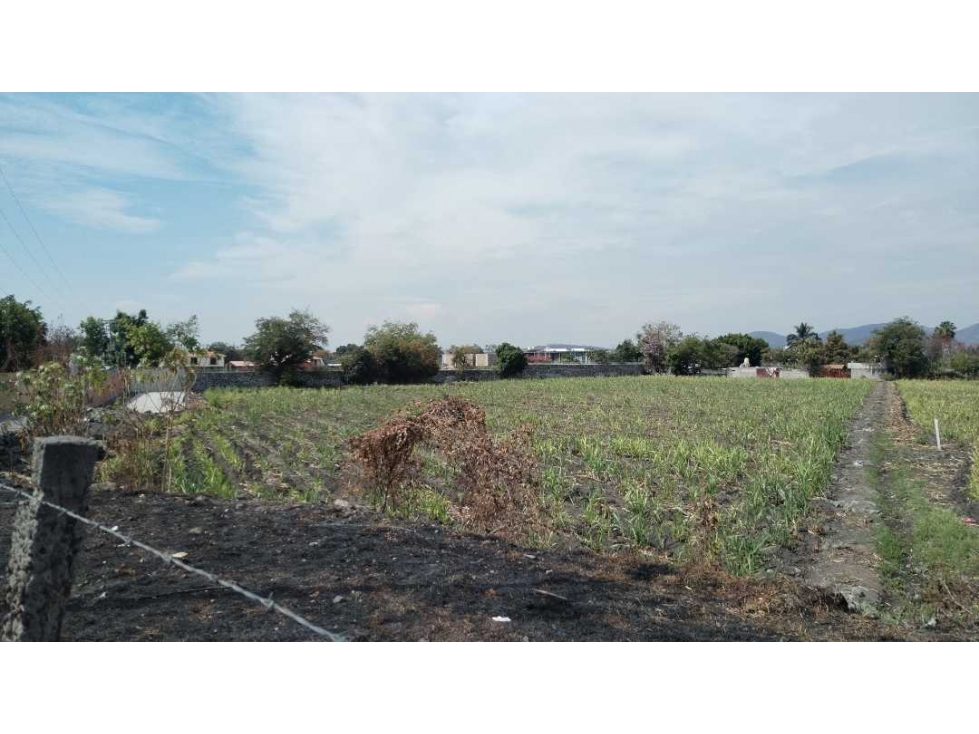 Terreno en Cesión de Derechos C.Lázaro Cárdenas en Xochitepec Morelos - 3