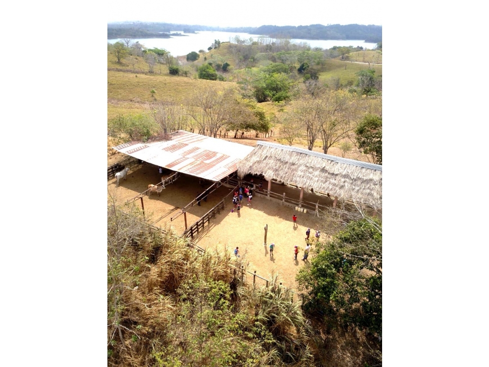 Terreno en Chepo * Lago Bayanno — foto 4