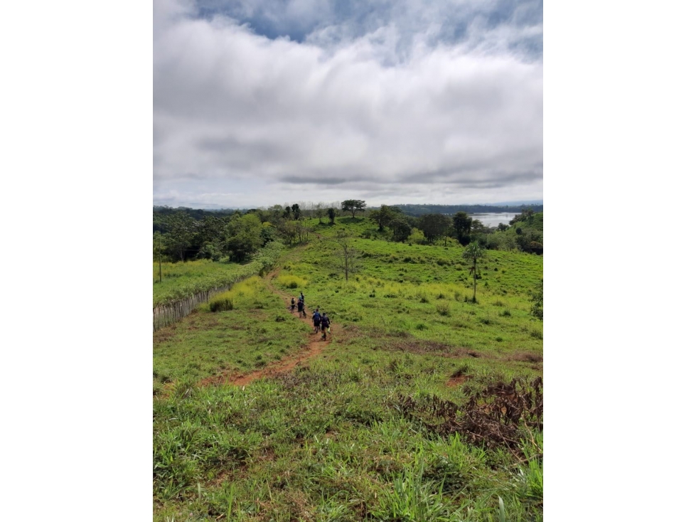 Terreno en Chepo * Lago Bayanno — foto 6