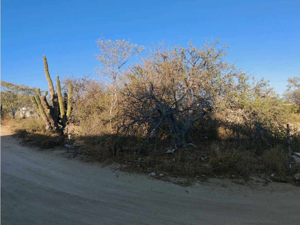 Terreno en fuentes del tezal - 5