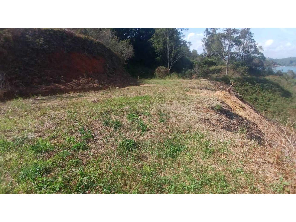 Terreno en Guatape — foto 6