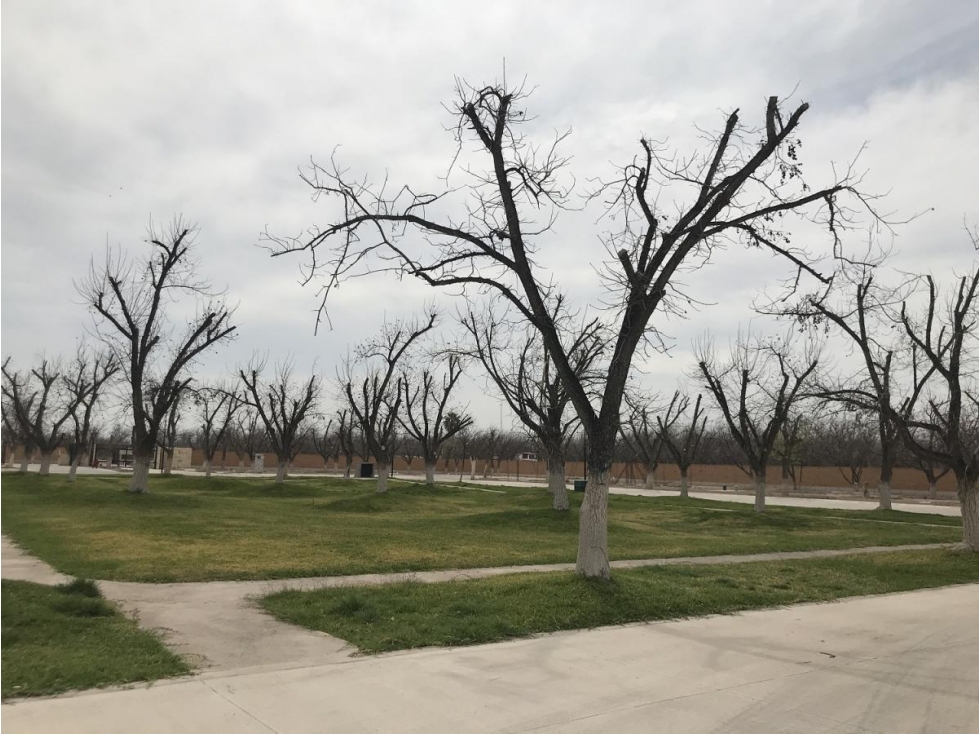 Terreno en La Barranca, Torreón | Exclusivo Lote Residencial - 3