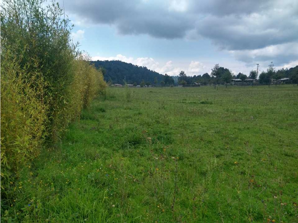 Terreno en venta en Valle de Bravo C — foto 4