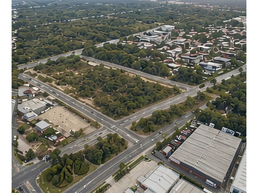 Terreno en Renta Carretera a Reynosa Juarez N. L. - 6