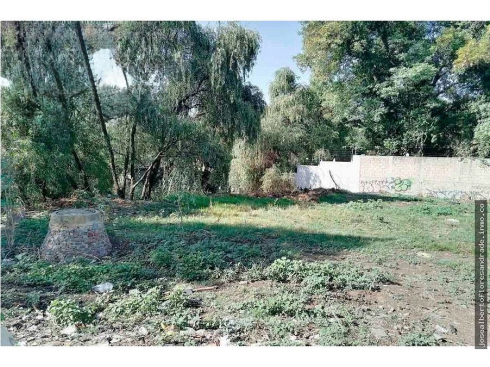 Terreno en Renta en Forjadores - 6