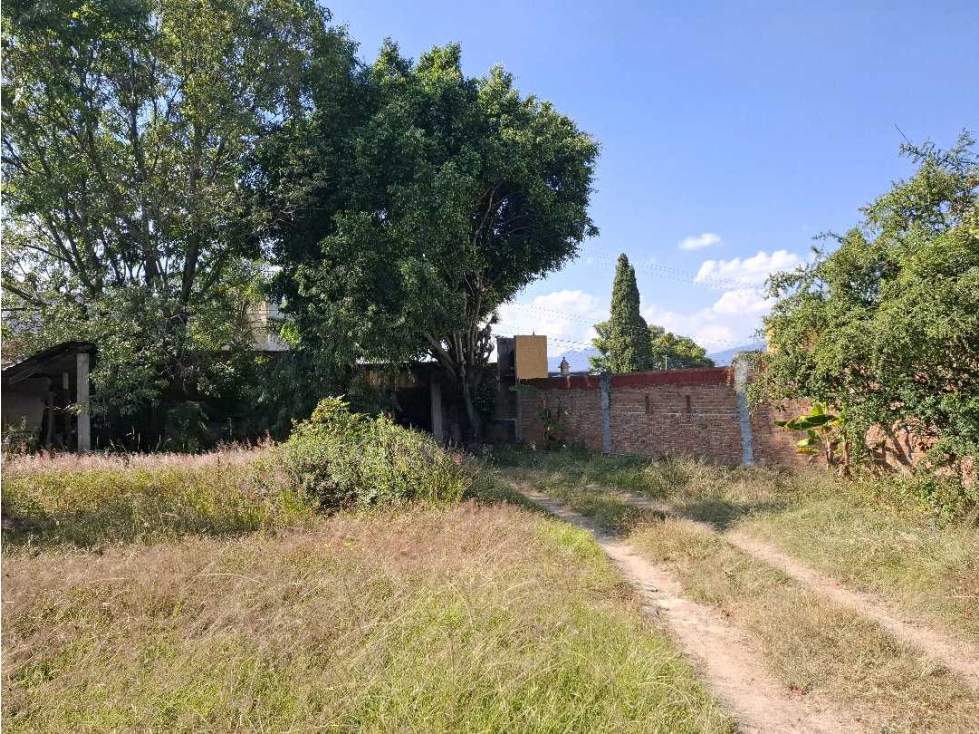 TERRENO EN RENTA SANTA MARIA CERCANO A ALTOZANO - 2