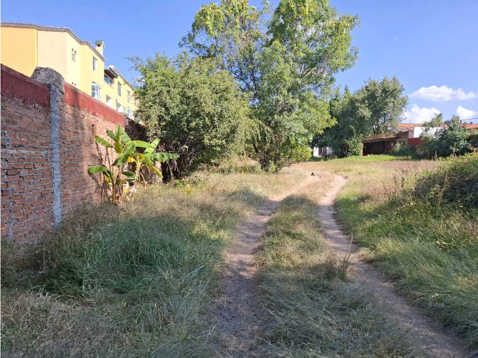 TERRENO EN RENTA SANTA MARIA CERCANO A ALTOZANO - 3
