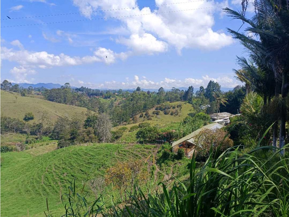 Terreno en Rionegro — foto 2
