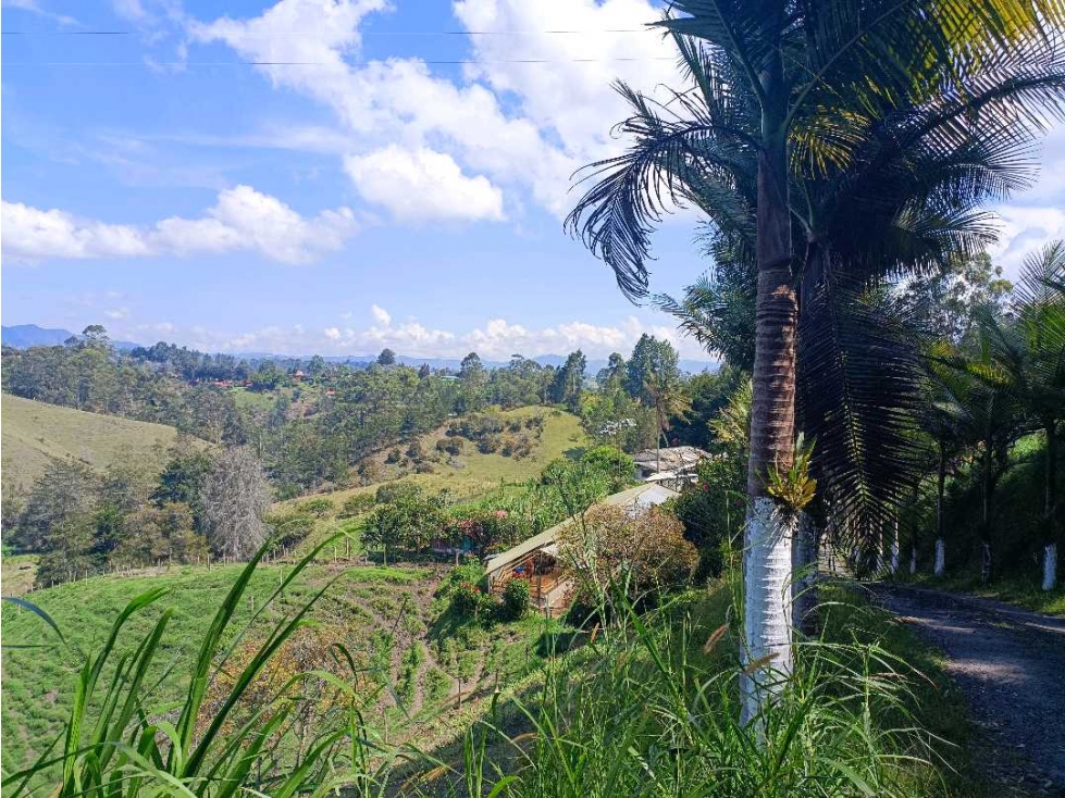 Terreno en Rionegro — foto 3