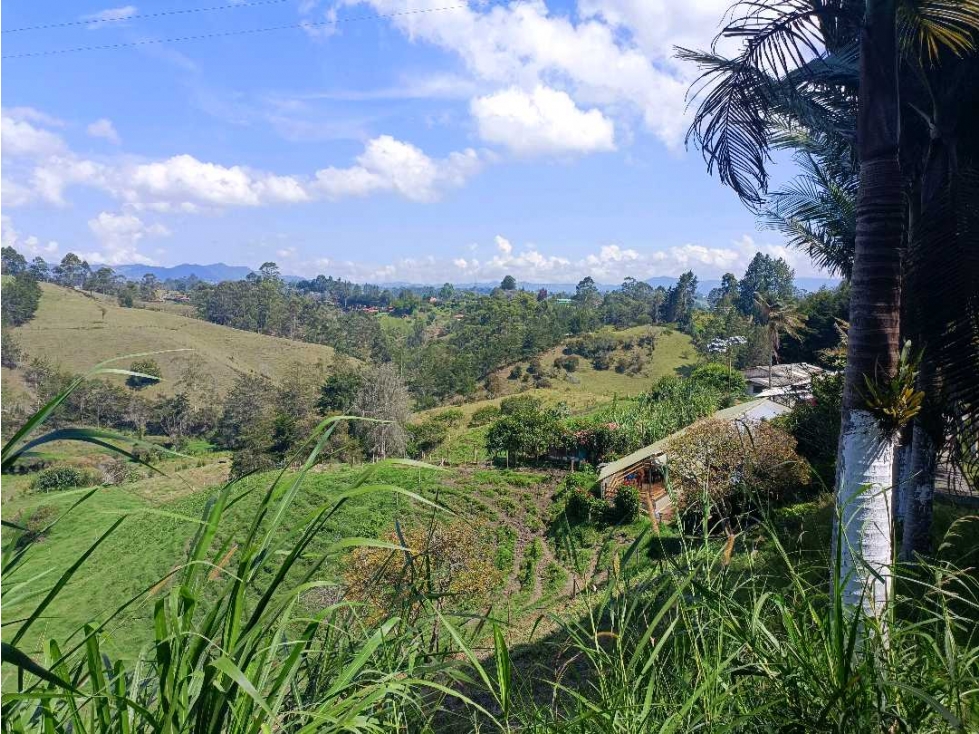 Terreno en Rionegro — foto 4