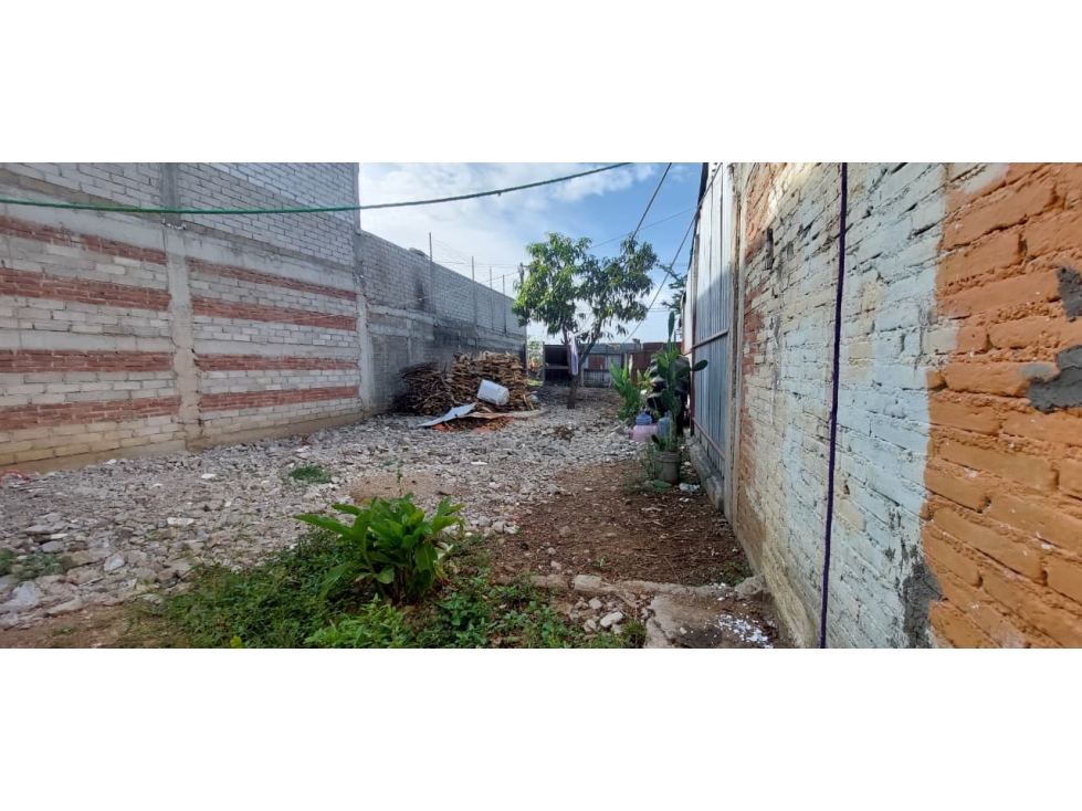 Terreno en san Jacinto - 4