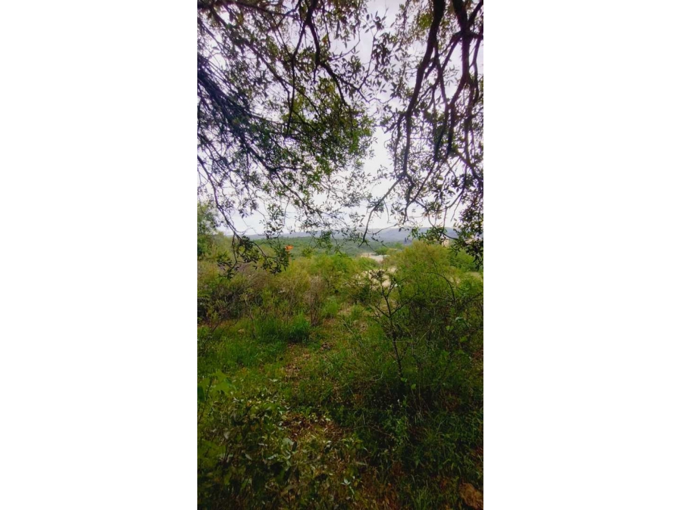 Terreno en Tanti, Flor Serrana, plano y arbolado. - 1