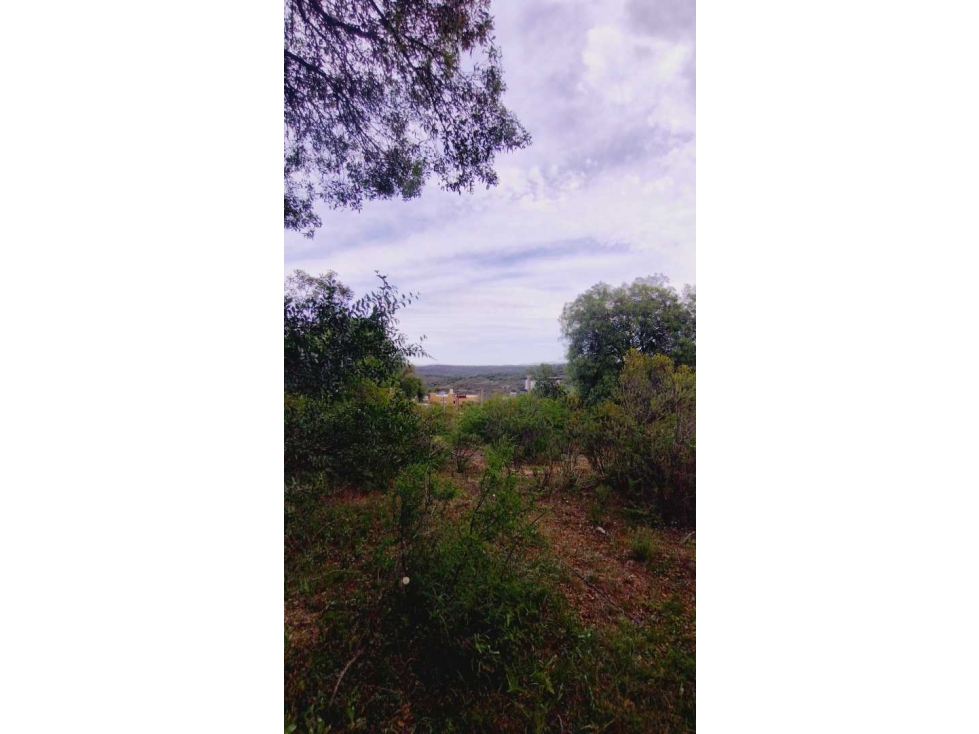 Terreno en Tanti, Flor Serrana, plano y arbolado. - 6
