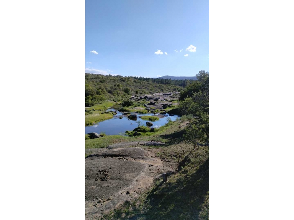 Terreno en Tanti, Flor Serrana, plano y arbolado. - 4