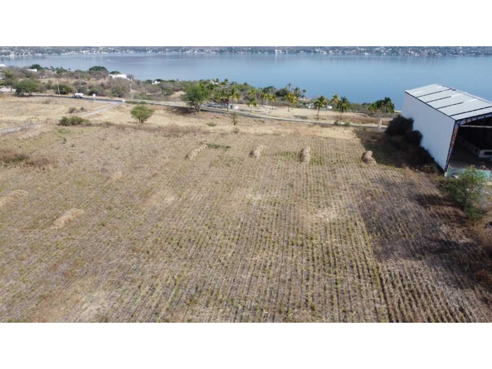 Terreno en Tequexquitengo Morelos, excelente para desarrolladores. - 4