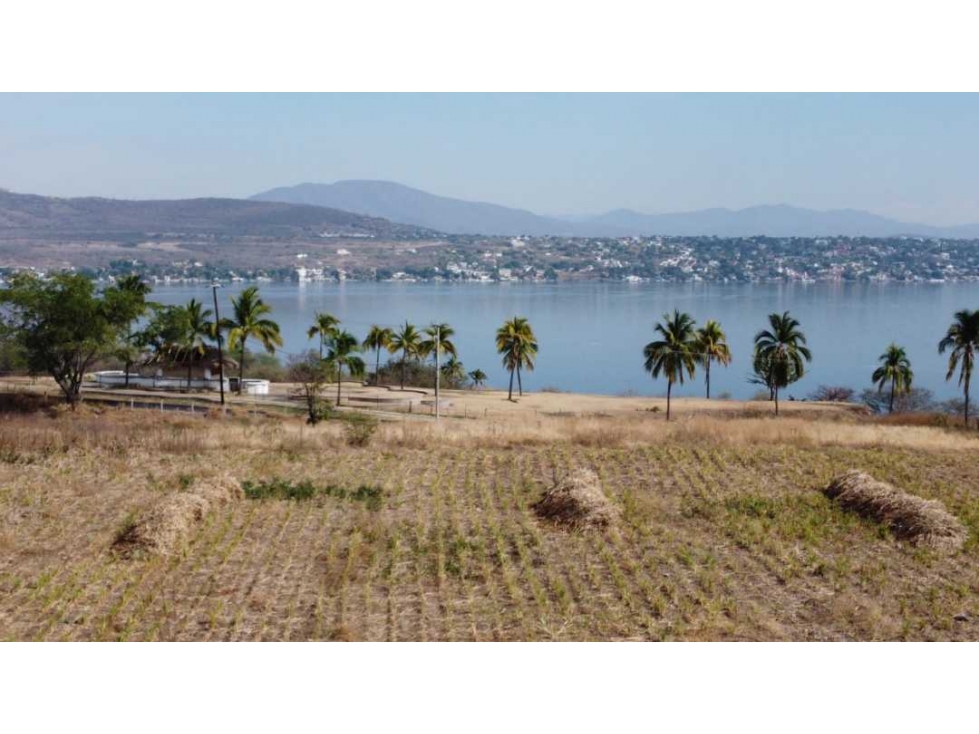 Terreno en Tequexquitengo Morelos, excelente para desarrolladores. - 6