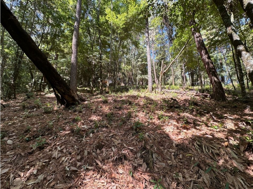 TERRENO EN VENTA | 1000M2 | BOSQUE CERRO GORDO | VALLE DE BRAVO — foto 5