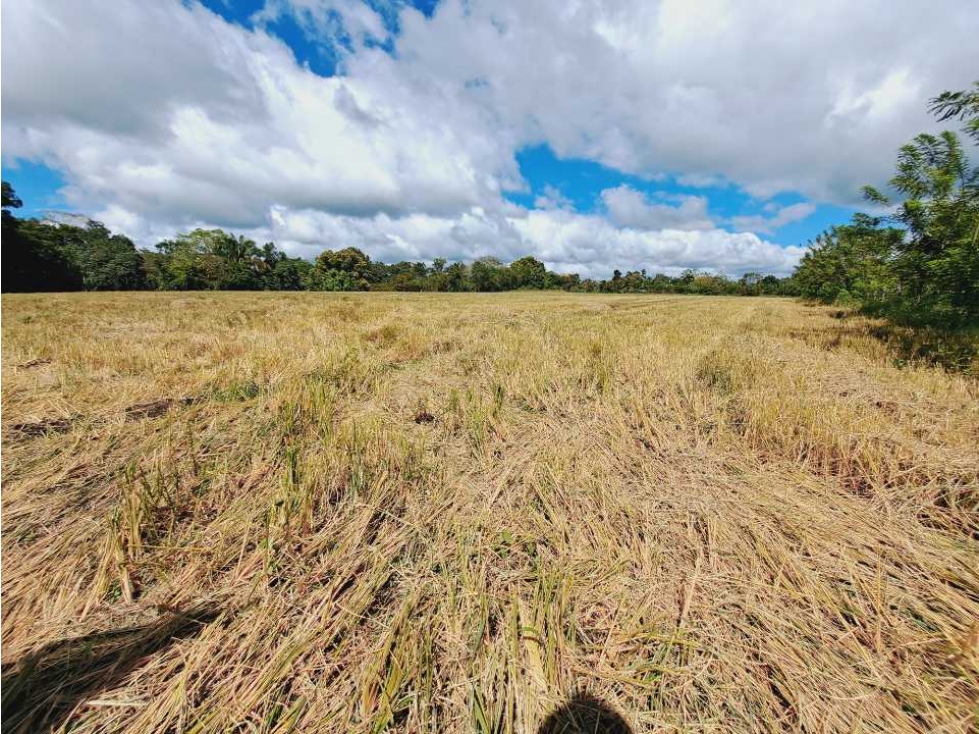 TERRENO EN VENTA - 3