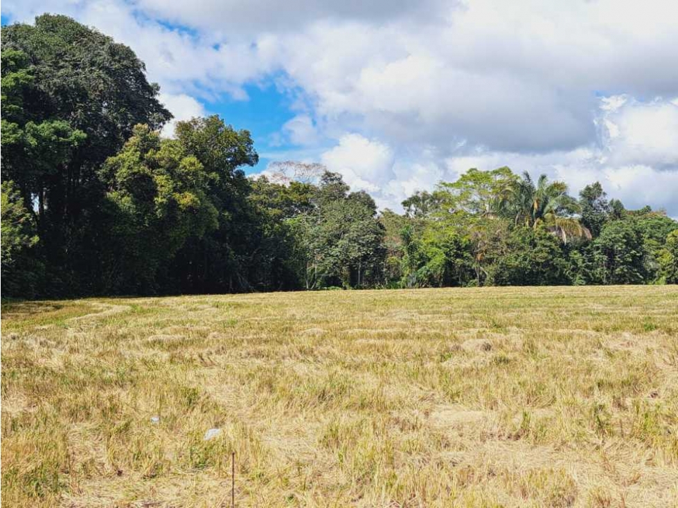 TERRENO EN VENTA - 4