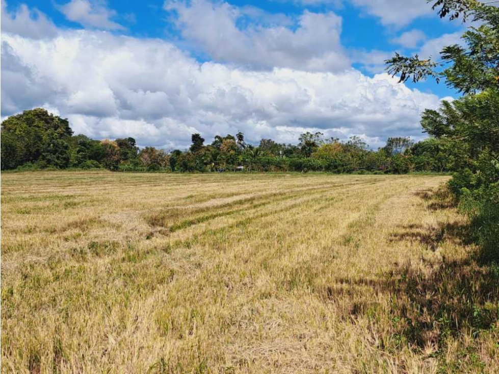 TERRENO EN VENTA - 5
