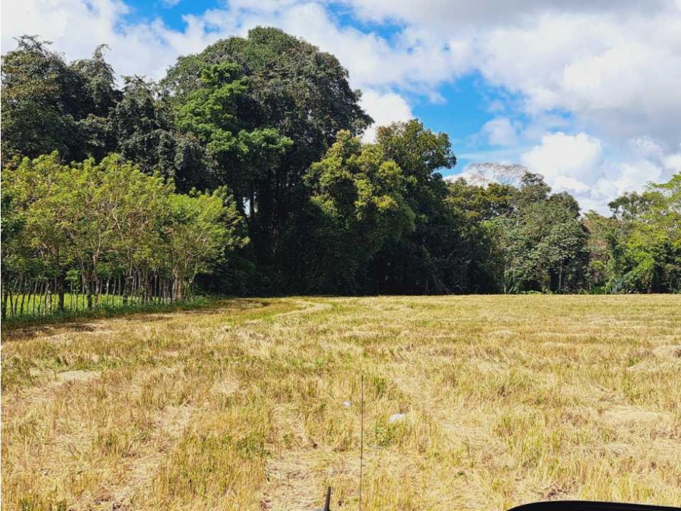TERRENO EN VENTA - 6