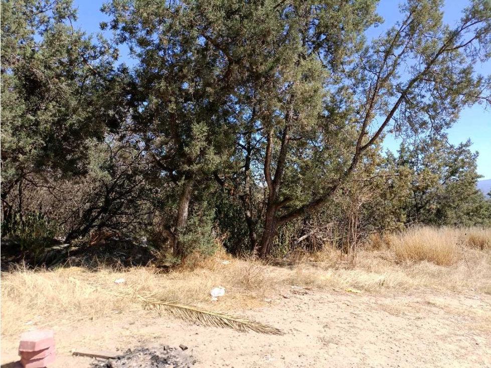 Terreno en venta Atlihuezia Tlaxcala - 3