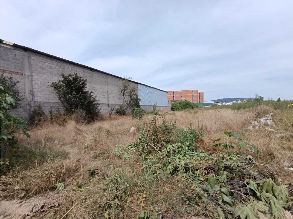 Terreno en venta - 5