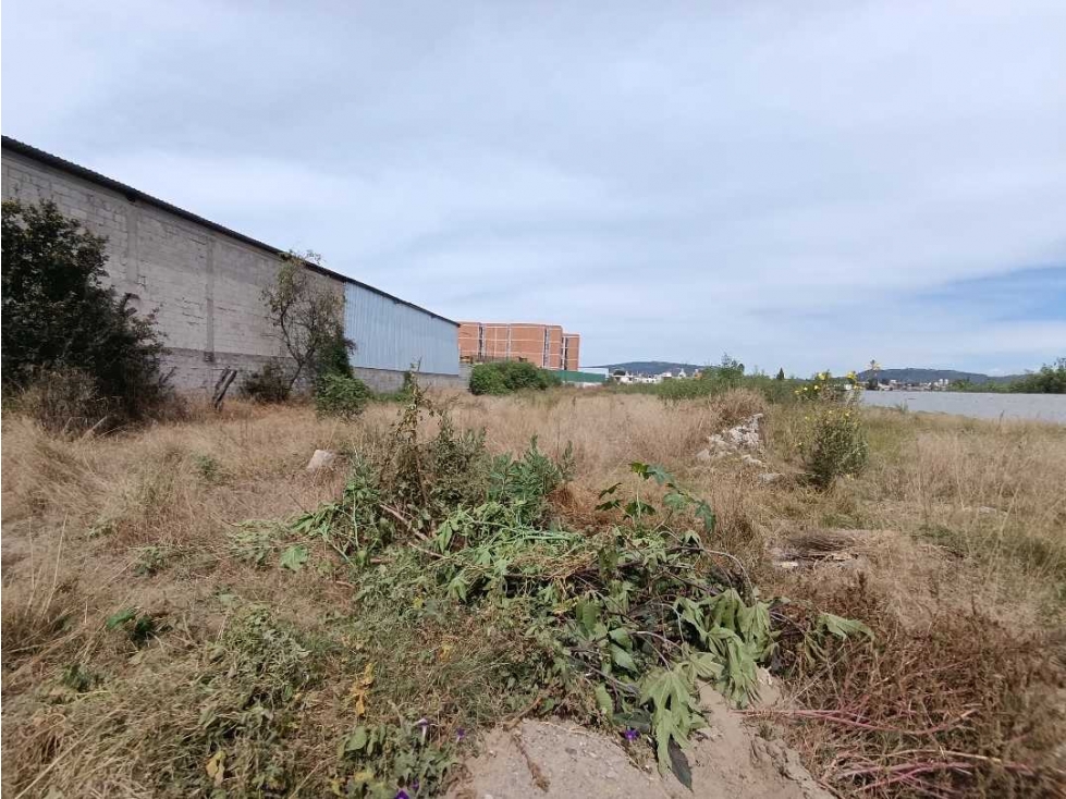 Terreno en venta - 6