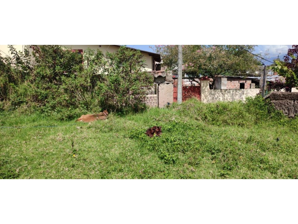 Terreno en venta 384M2 en Atuntaqui Andrade Marin - 6