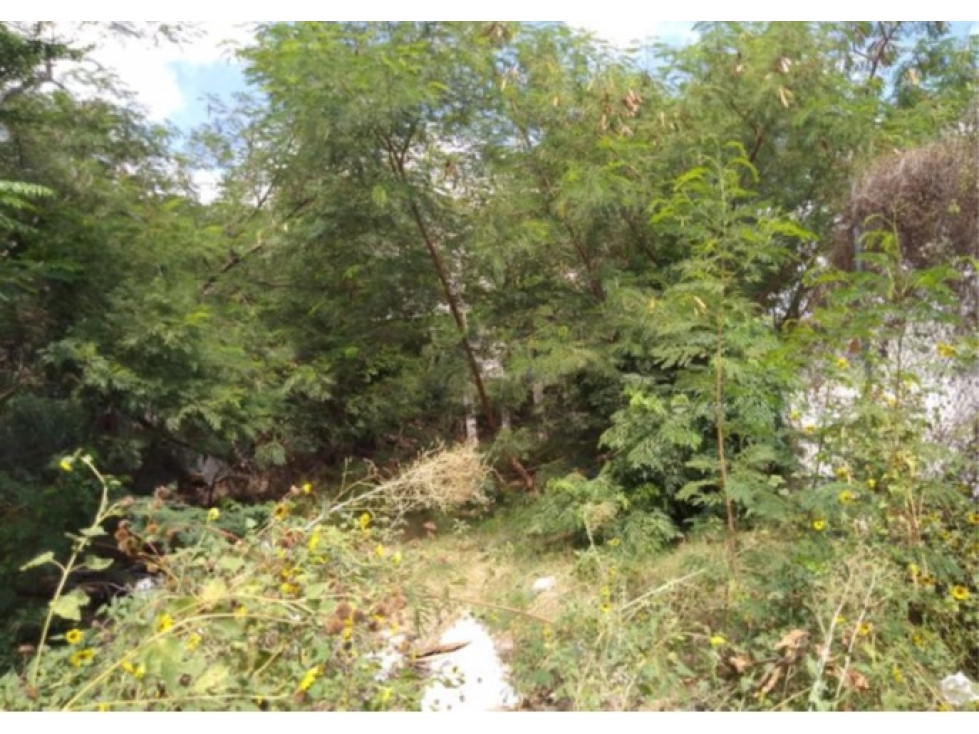 Terreno en Venta 450 m2 en Col. Simón Rodríguez, Reynosa - 4