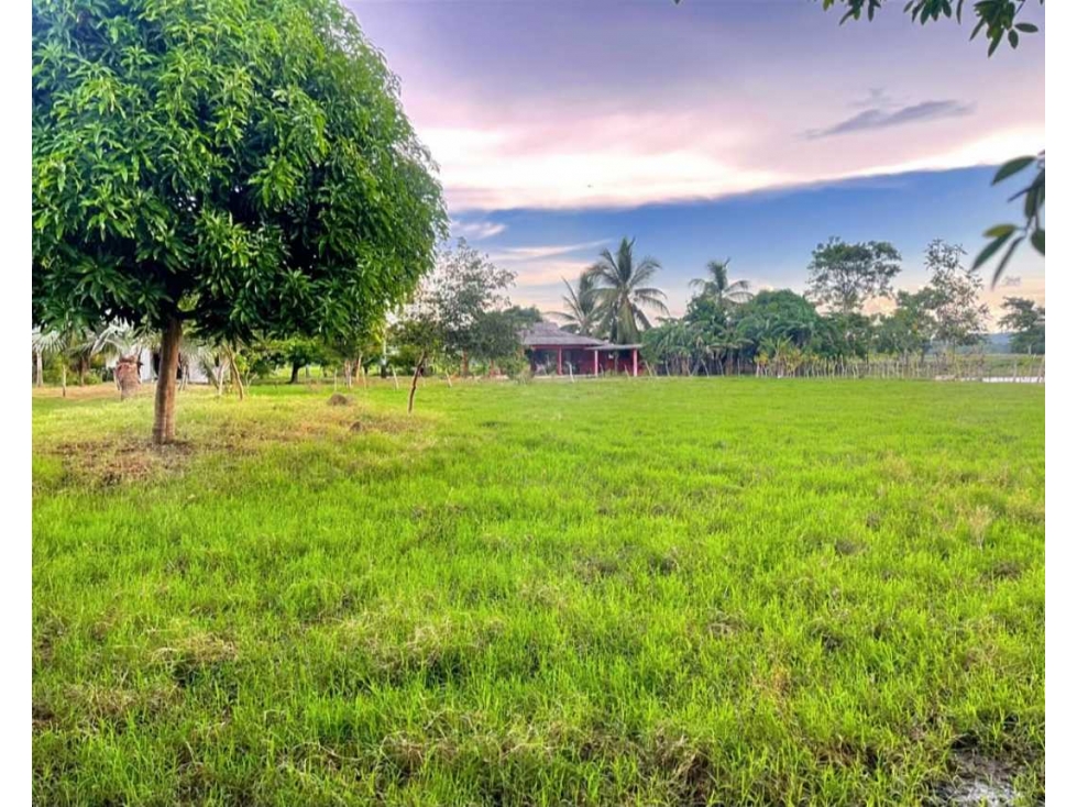 TERRENO EN VENTA A 20 MINUTOS DE MONTERÍA el SABANAL - 1