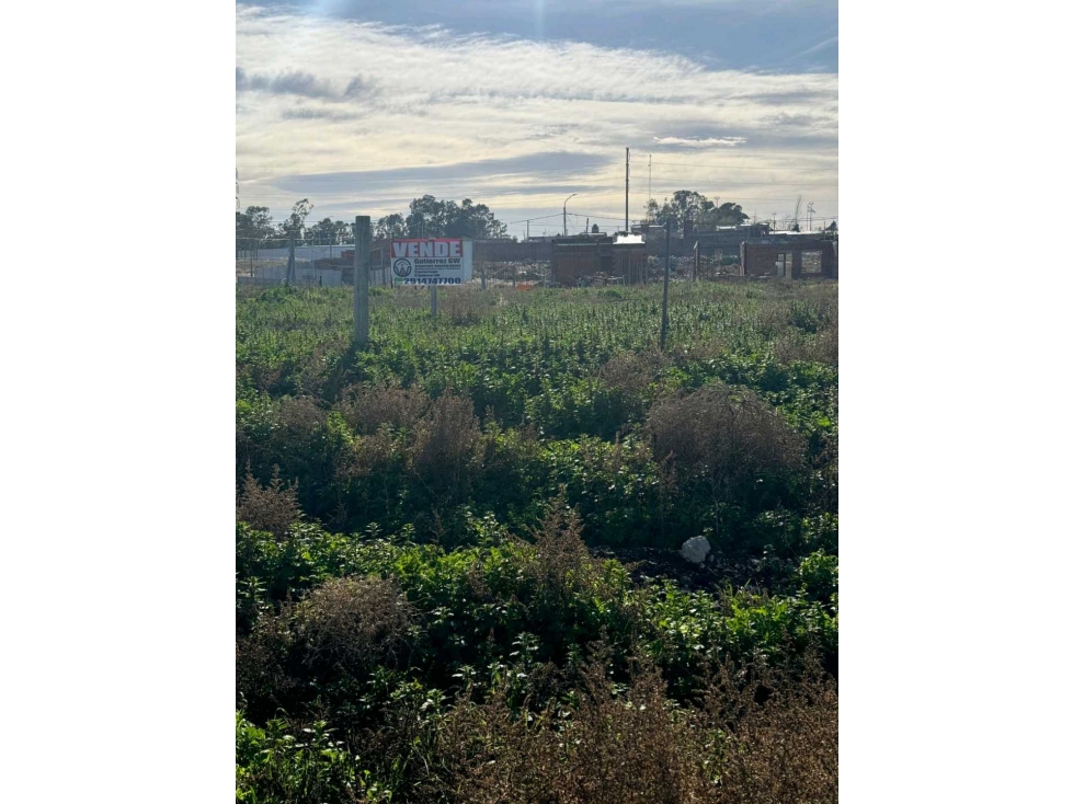 TERRENO EN VENTA -Altos de Pinar-Bahia Blanca - 1