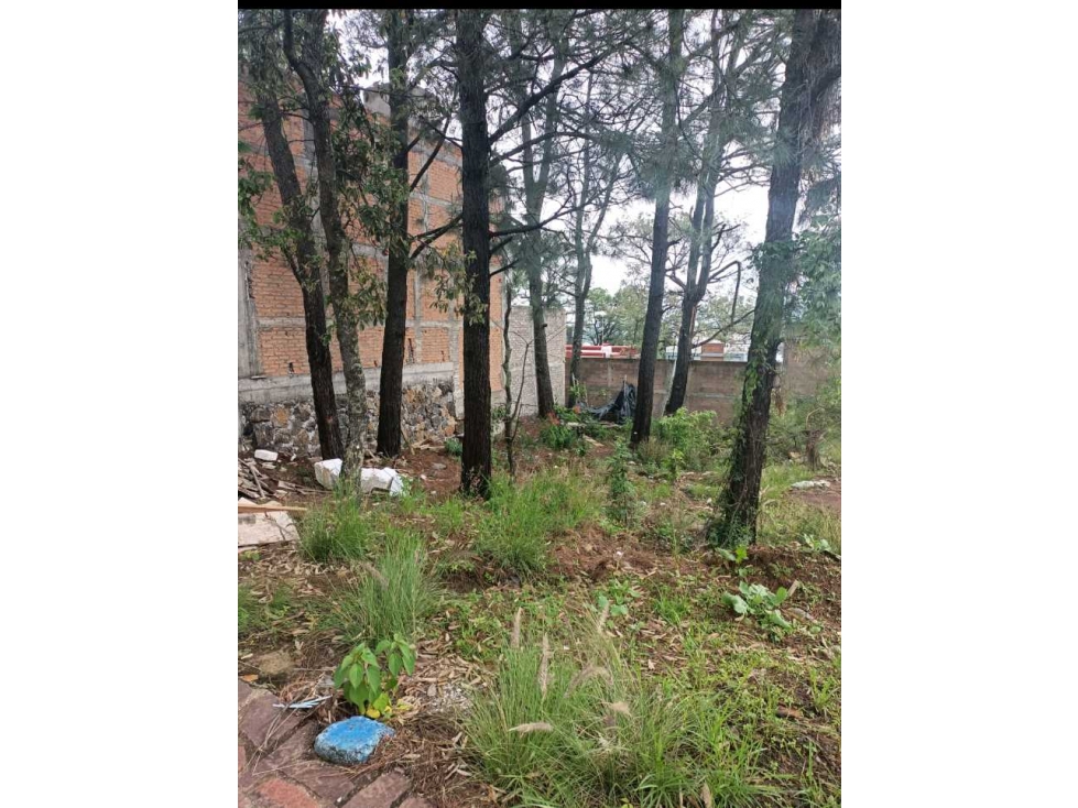 TERRENO EN VENTA ALTOZANO — foto 4