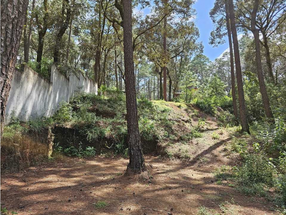 Terreno en venta, Avandaro — foto 2