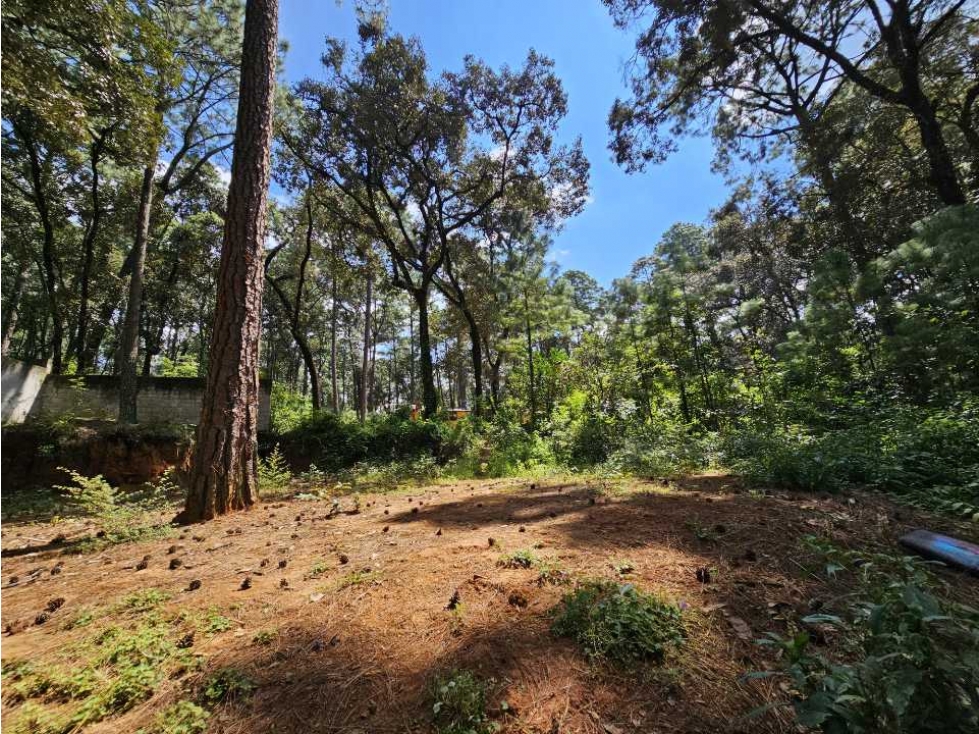 Terreno en venta, Avandaro — foto 5