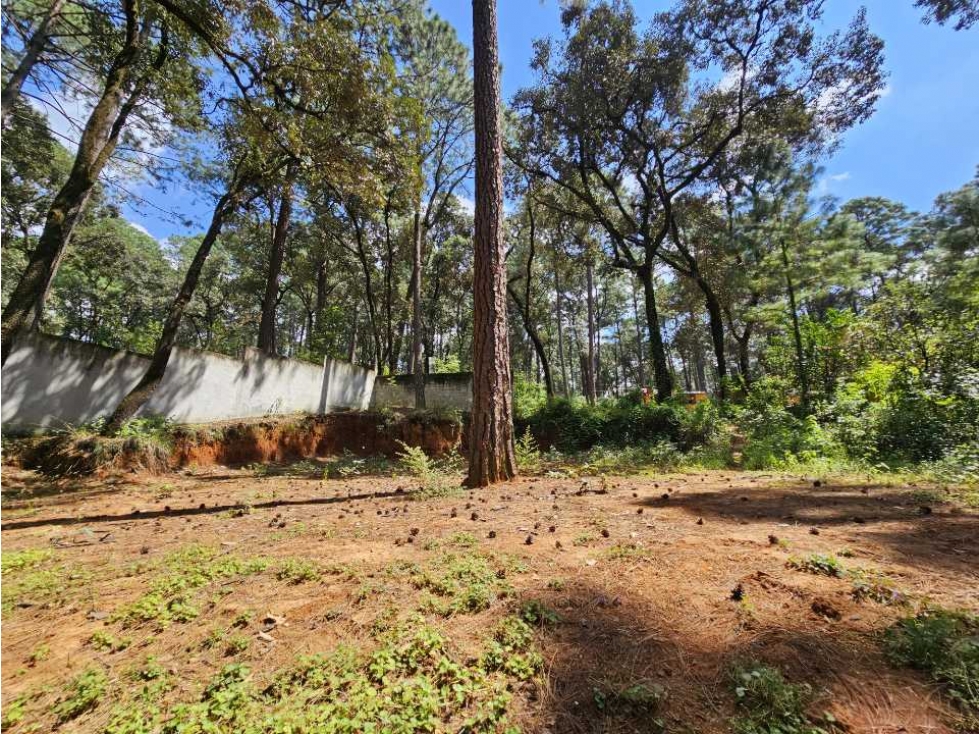 Terreno en venta, Avandaro — foto 6