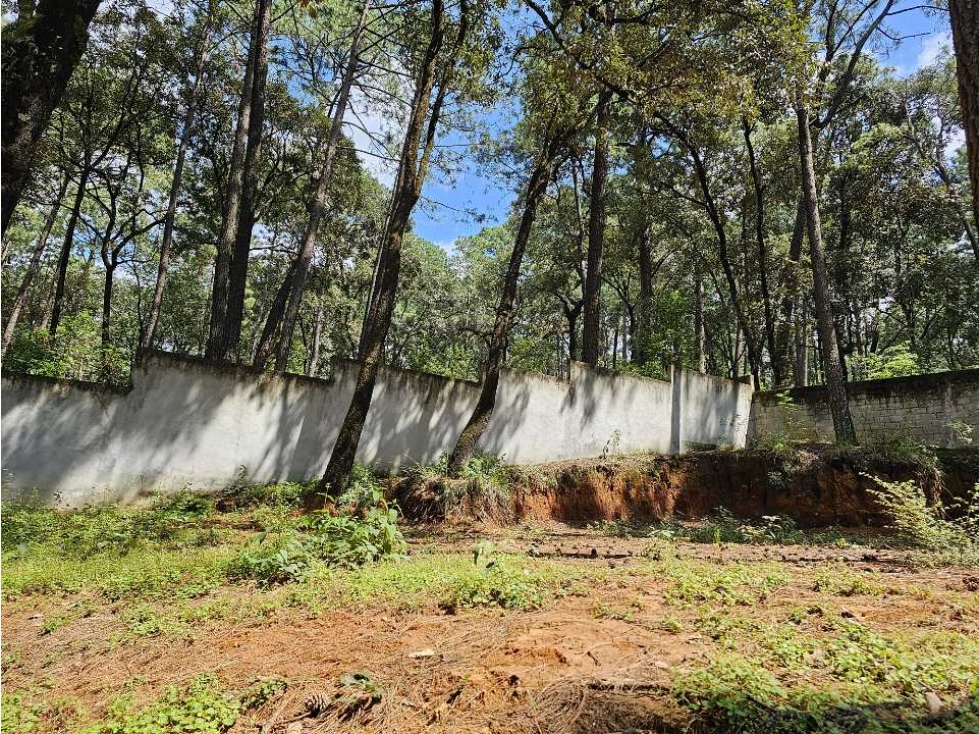 Terreno en venta, Avandaro — foto 4