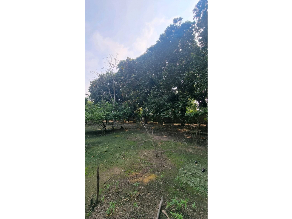 Terreno en Venta. bandeado en Prol. De Vicente Guerrero. - 3