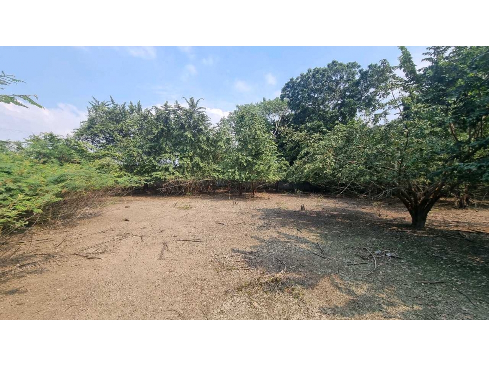 Terreno en Venta. bandeado en Prol. De Vicente Guerrero. - 4