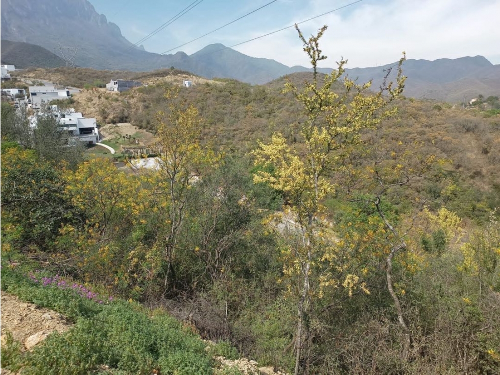 Terreno en venta bosques de valle alto carretera nacional Monterrey — foto 4