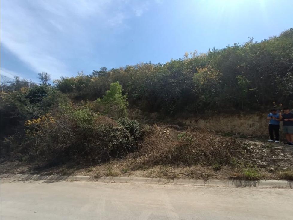 Terreno en venta bosques de valle alto carretera nacional Monterrey — foto 5