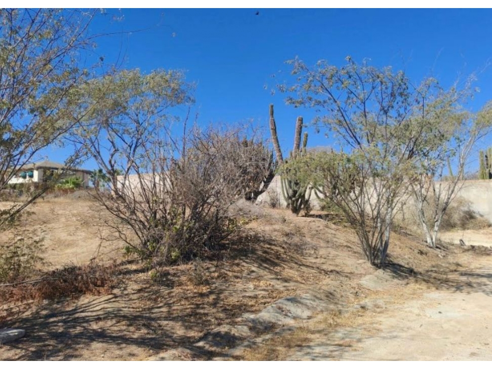 Terreno en venta brisas del pacífico cabo san Lucas - 4