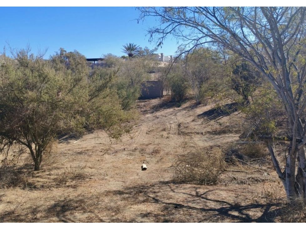 Terreno en venta brisas del pacífico cabo san Lucas - 5