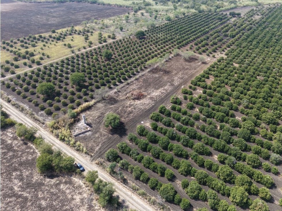 Terreno en Venta Camino al Chapotal, Atongo de Abajo, Cadereyta, N.L.