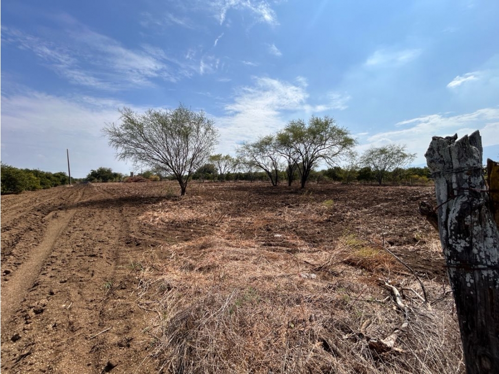 Terreno en Venta Camino al Chapotal, Atongo de Abajo, Cadereyta, N.L. — foto 5